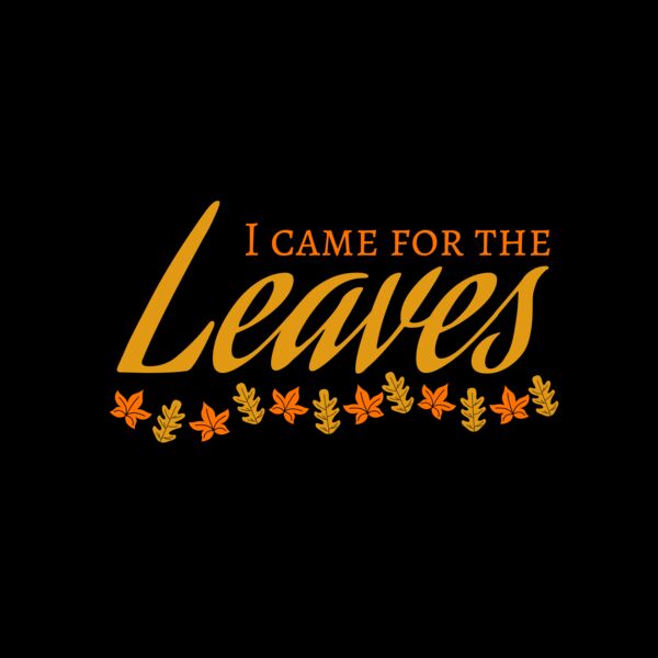 Fall Season 28 Thumbnail