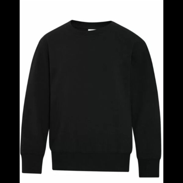 ATC™ EVERYDAY FLEECE CREWNECK YOUTH SWEATSHIRT Thumbnail